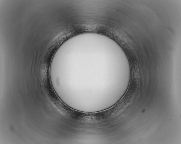 X0000111430744200908031331