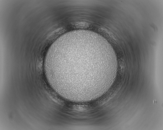 X0000111430745200908031331