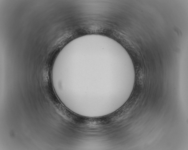 X0000111430746200908031331