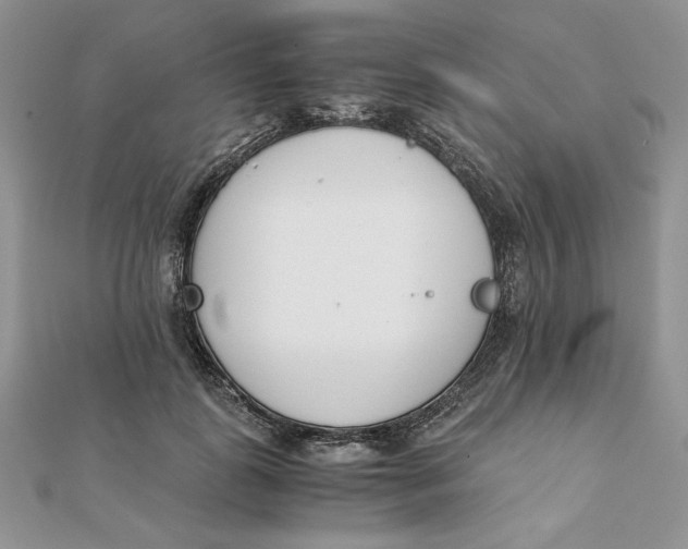 X0000111430747200908031331