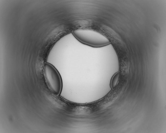 X0000111430748200908031331