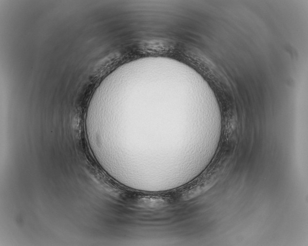 X0000111430749200908031331