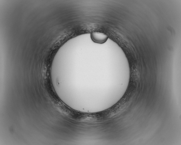 X0000111430750200908031331