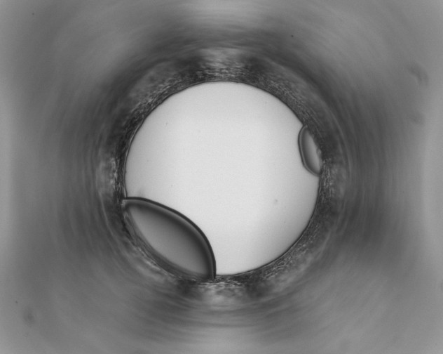 X0000111430752200908031331