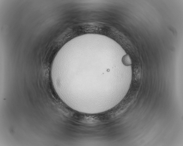 X0000111430753200908031331