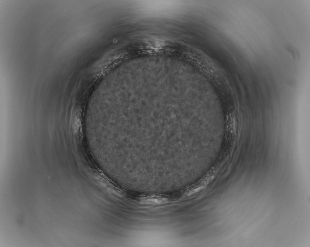 X0000111430754200908031331