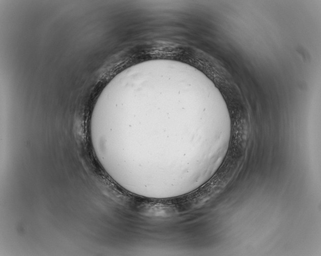 X0000111430755200908031331