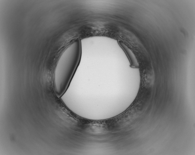 X0000111430756200908031331