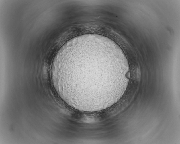 X0000111430757200908031331