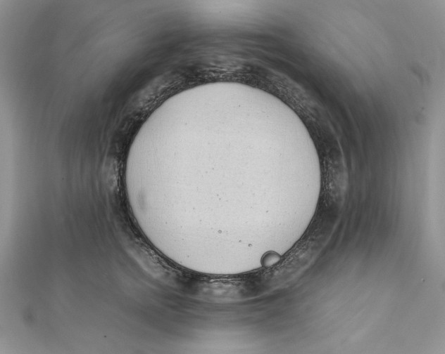 X0000111430758200908031331