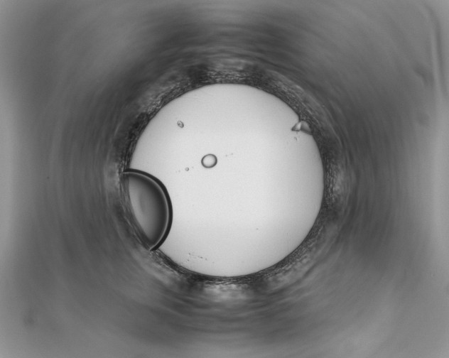 X0000111430759200908031331