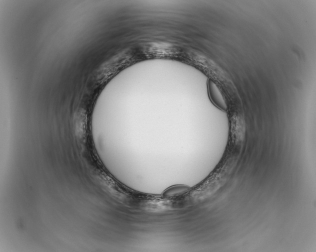 X0000111430760200908031331