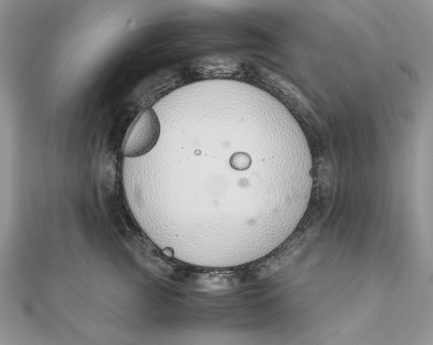 X0000111430761200908031331