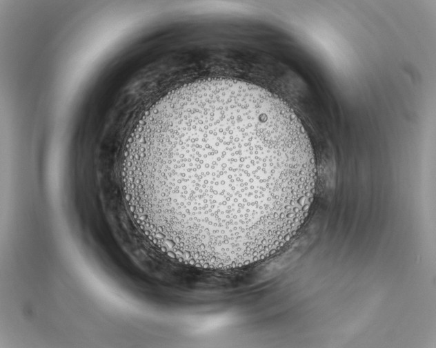 X0000111430765200908031331