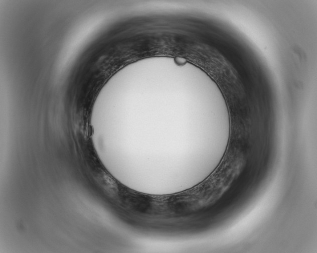 X0000111430766200908031331