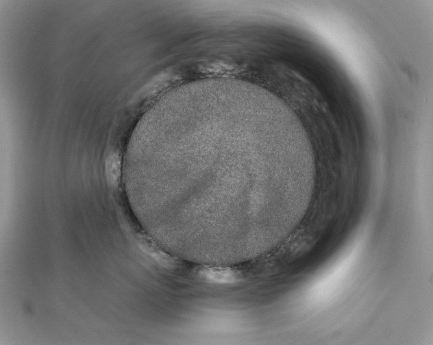 X0000111430767200908031331