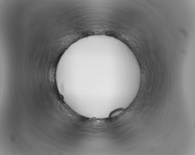 X0000111430768200908031331