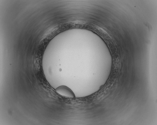 X0000111430774200908031330