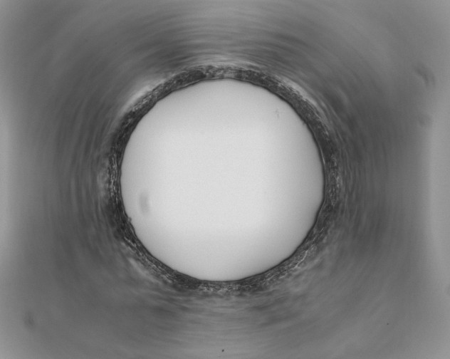 X0000111430775200908031330