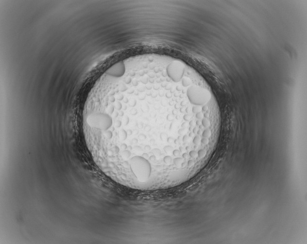 X0000111430776200908031330