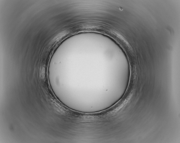 X0000111430777200908031330