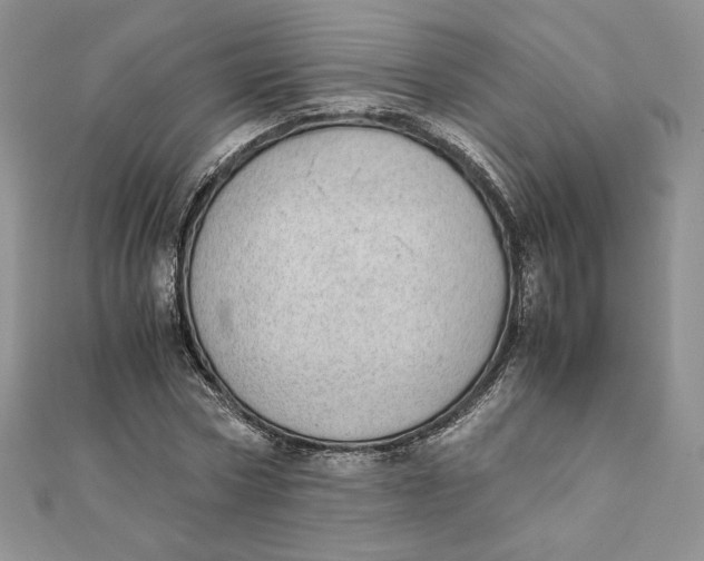 X0000111430778200908031330