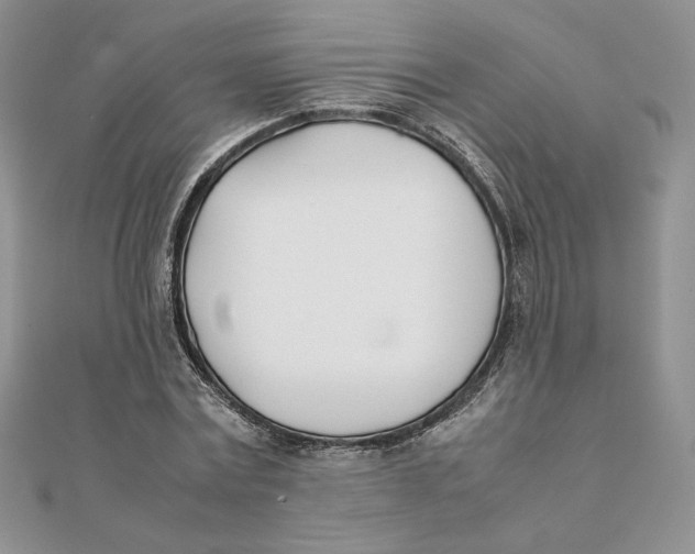 X0000111430779200908031330