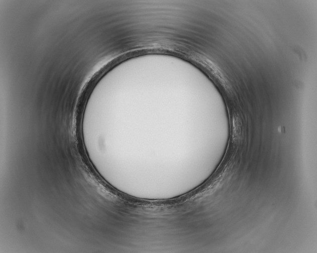 X0000111430780200908031330