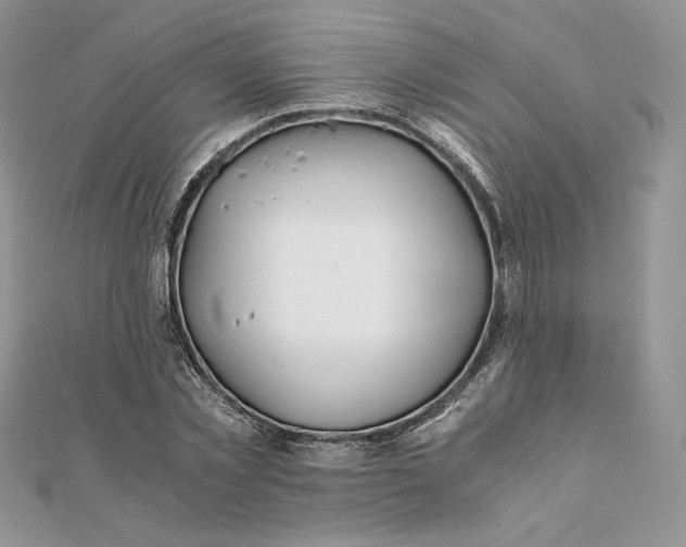 X0000111430781200908031330