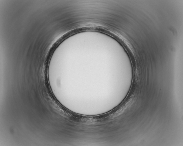 X0000111430783200908031330