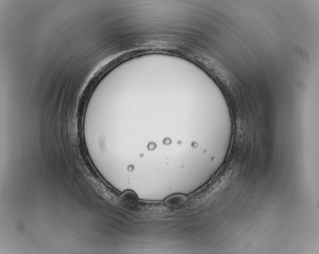 X0000111430784200908031330