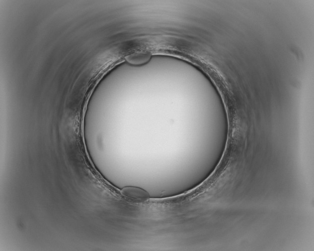 X0000111430785200908031330