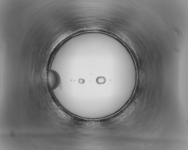 X0000111430789200908031330