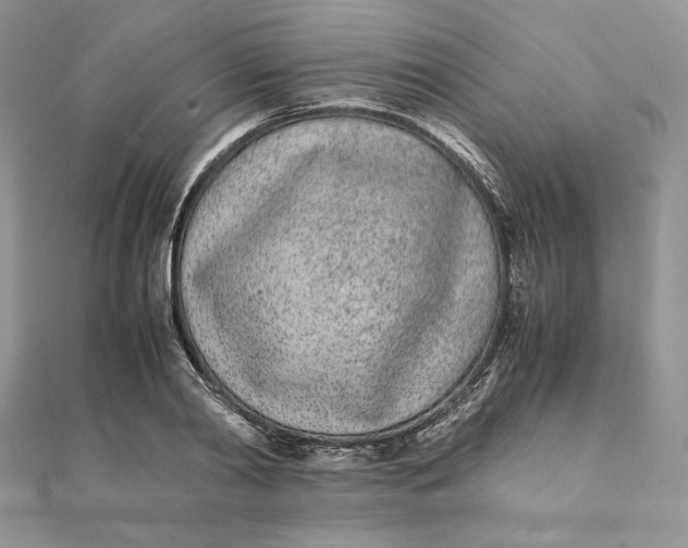 X0000111430790200908031330