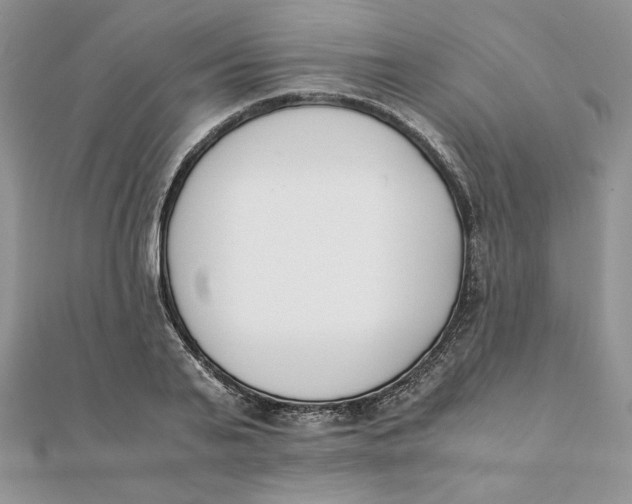 X0000111430791200908031330