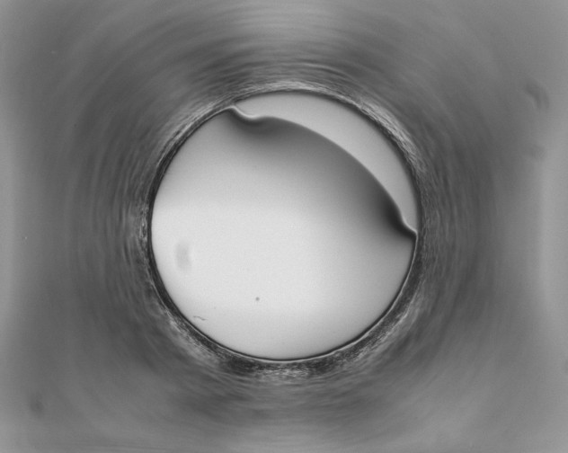 X0000111430793200908031330