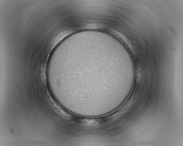 X0000111430794200908031330