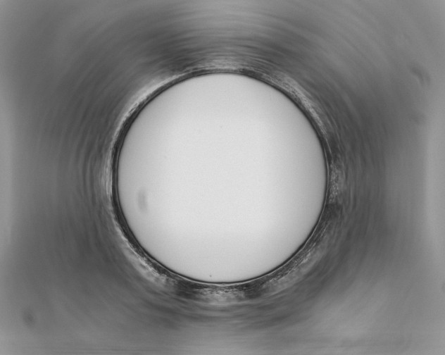 X0000111430795200908031330