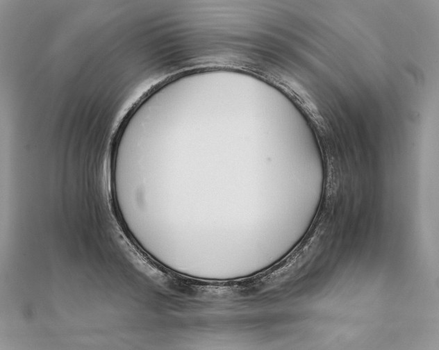 X0000111430796200908031330