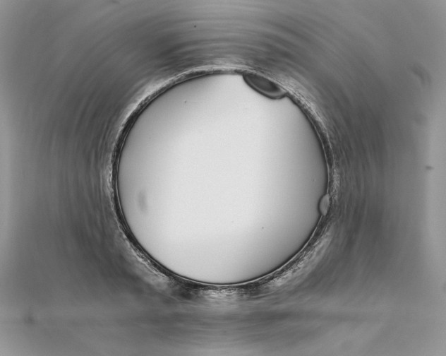 X0000111430797200908031330