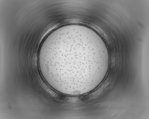 X0000111430798200908031330