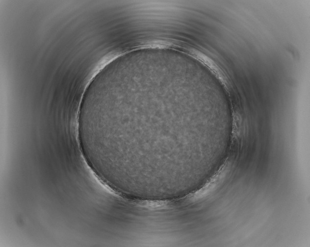 X0000111430802200908031330