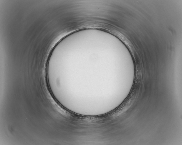 X0000111430803200908031330