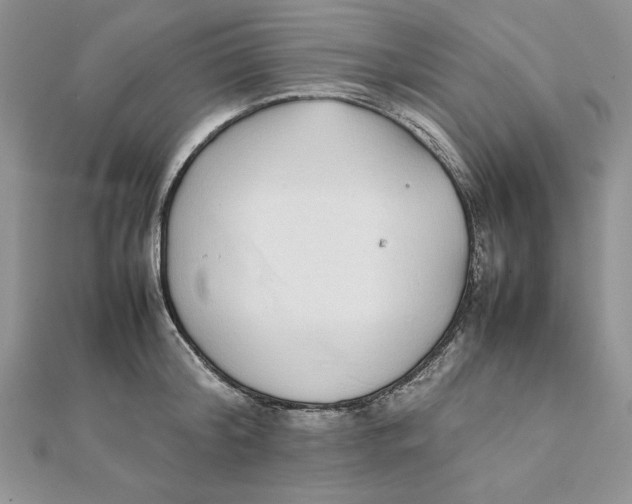 X0000111430804200908031330