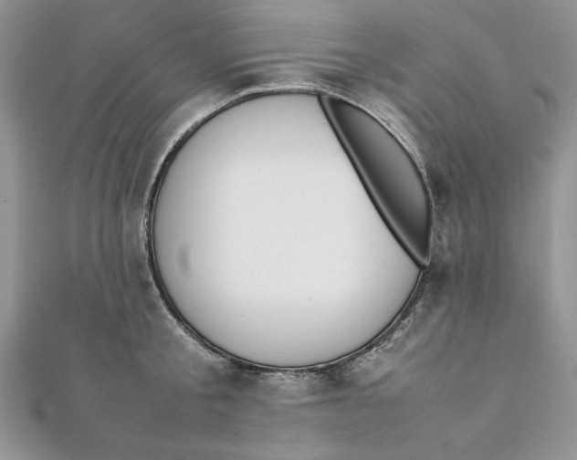 X0000111430805200908031330