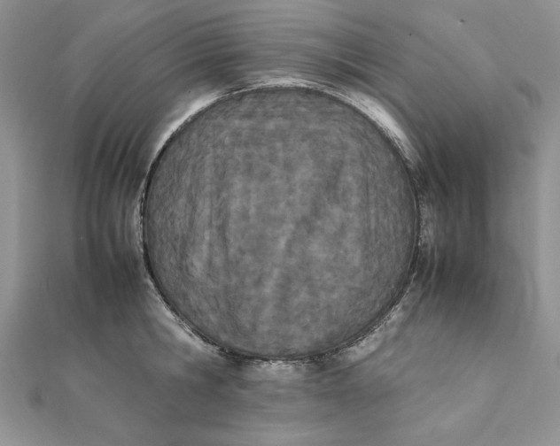 X0000111430806200908031330