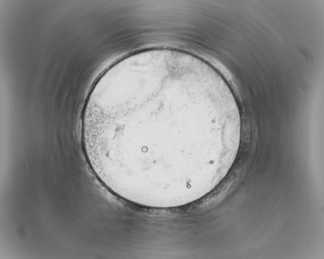 X0000111430807200908031330