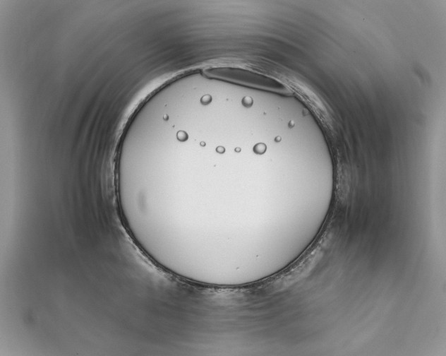 X0000111430808200908031330