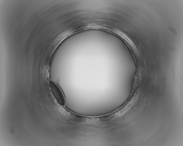 X0000111430809200908031330