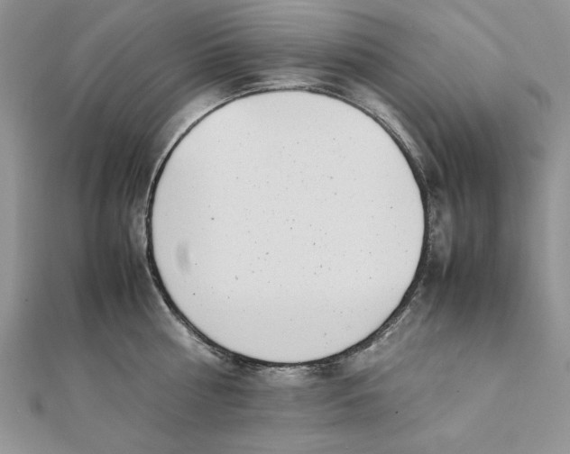 X0000111430810200908031330